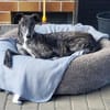 DANTE - in 67227 Frankenthal!