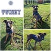 TWINKY ° Sonnenschein sucht seine Sonnenscheinfamilie
