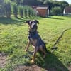 TWINKY ° Sonnenschein sucht seine Sonnenscheinfamilie