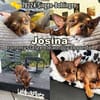 Josina ist eine gute Schülerin