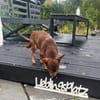 Josina ist eine gute Schülerin
