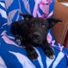 Elara sucht ihre Familie