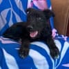 Elara sucht ihre Familie