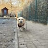Kleiner Noah sucht liebevolles Zuhause