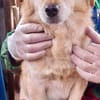 Kleiner Noah sucht liebevolles Zuhause