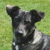 Larsson, geb. ca. 12/2018, 74229 Oedheim