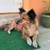Oliva- startklar für ein neues Leben