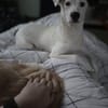 🐾 Lumpi  ein kleiner Gentleman mit großem Herzen ❤