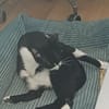 Soul ~ 1 Jahr such sein für immer zuhause