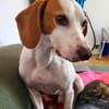 Fio sucht sein eigenes Zuhause