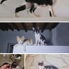 Missy und Molly suchen zu zweit