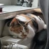 Nena, Vermittlung wirklich dringend