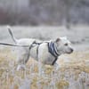 Maja, wie eine große Schneeflocke