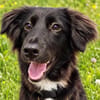 Yumi sucht ihren Traumplatz