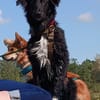 Yumi sucht ihren Traumplatz