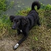 Yumi sucht ihren Traumplatz