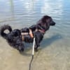 Yumi sucht ihren Traumplatz