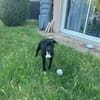 ARKO