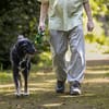 Kira wünscht sich erfahrene Menschen