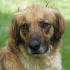 Lulu sucht engen Familienanschluss