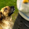 Lulu sucht engen Familienanschluss
