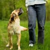 Lulu sucht engen Familienanschluss