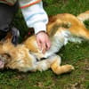 Lulu sucht engen Familienanschluss
