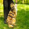 Lulu sucht engen Familienanschluss