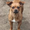 Effi sucht das Abenteuer