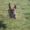 Effi sucht das Abenteuer