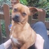 Effi sucht das Abenteuer