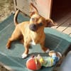 Effi sucht das Abenteuer