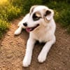 Buddy sucht seine Menschen