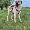 Luna- liebt die ganze Welt