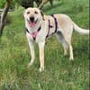 Luna- liebt die ganze Welt
