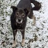 Marlo will endlich ankommen im neuen 4ever home