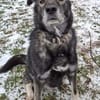 Marlo will endlich ankommen im neuen 4ever home