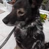 Marlo will endlich ankommen im neuen 4ever home
