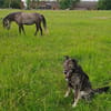 Marlo will endlich ankommen im neuen 4ever home