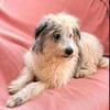 Bella möchte nochmal eine Familie