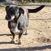 kleine Bety wartet auf Dich