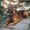 Elenia - sehr menschenbezogen + sozial...