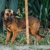 Elenia - sehr menschenbezogen + sozial...