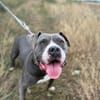 Rita - bereit für ein neues Leben - PLZ 39291