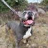 Rita - bereit für ein neues Leben - PLZ 39291