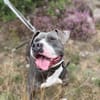 Rita - bereit für ein neues Leben - PLZ 39291