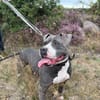 Rita - bereit für ein neues Leben - PLZ 39291