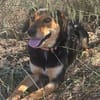 💟 STELA - GIBT ES EINE FAMILIE FÜR MICH
