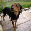 💟 STELA - GIBT ES EINE FAMILIE FÜR MICH