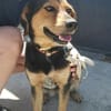 💟 STELA - GIBT ES EINE FAMILIE FÜR MICH